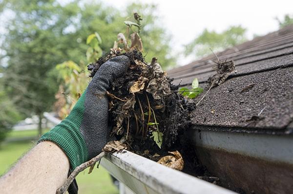 regular gutter cleaning can improve the overall appearance of your home by preventing unsightly debris and damage